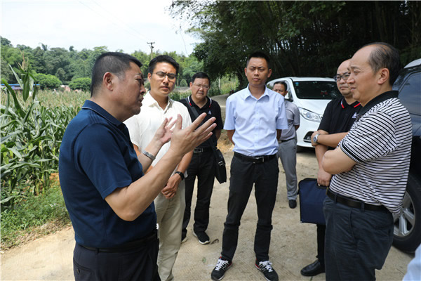 1591953542624262.jpg 1.jpg